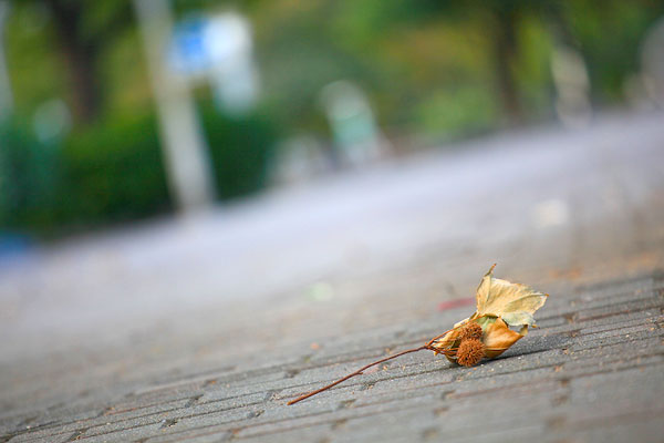 写真教室その出会いに感謝