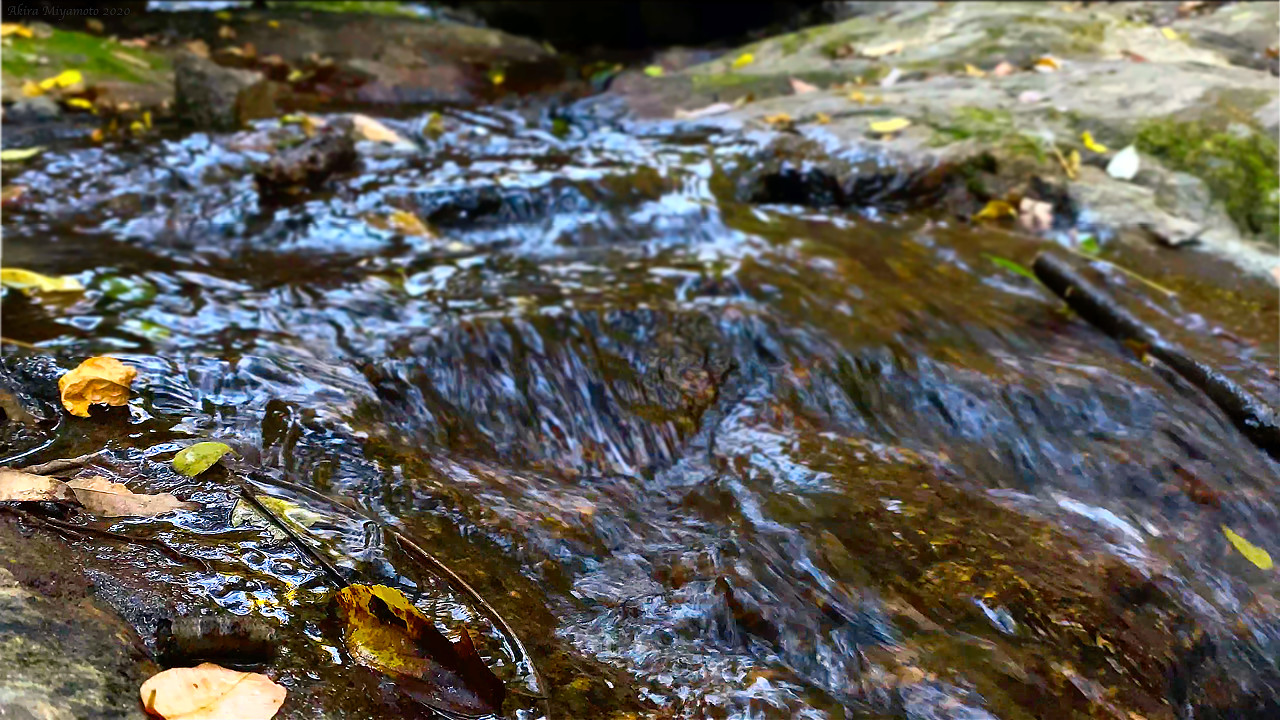 RiverImage photo AKIRA MIYAMOTO