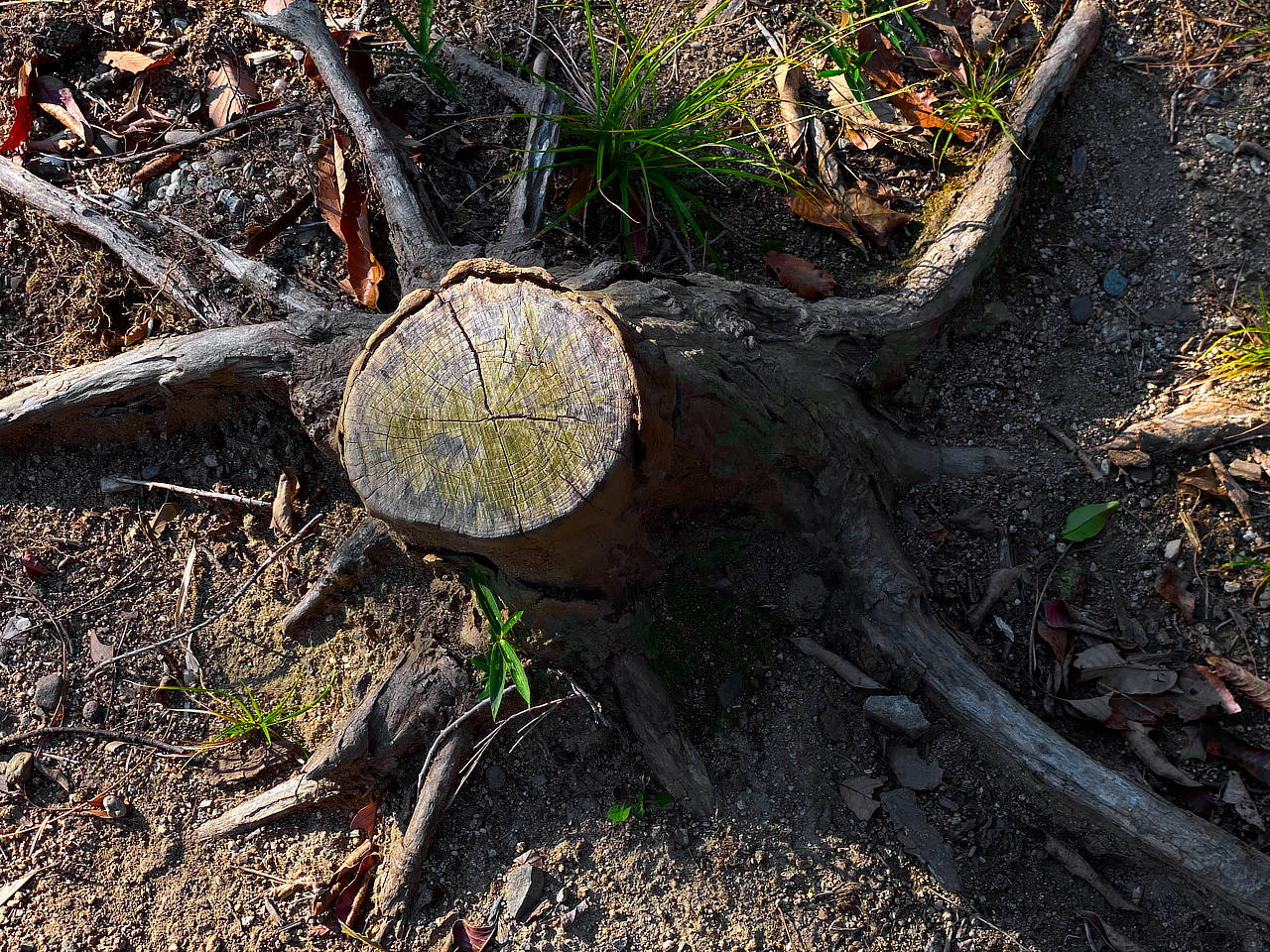 photo AKIRA MIYAMOTO