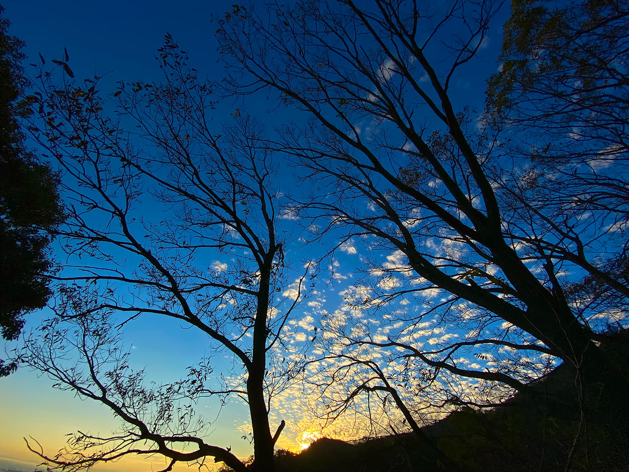 FeelNature ImagePhoto 宮本章光