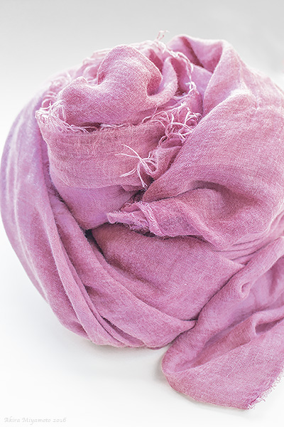 photo by AKIRAMIYAMOTO