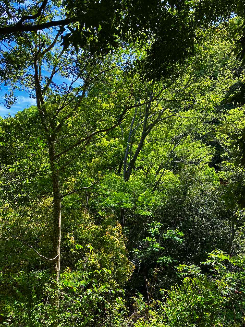 自然とともに生きる photo 宮本章光