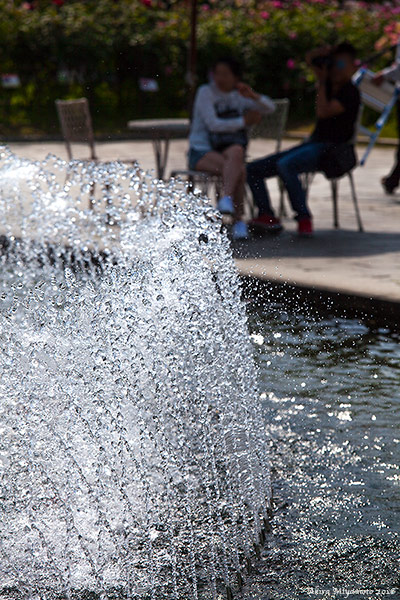 photo by AKIRA MIYAMOTO