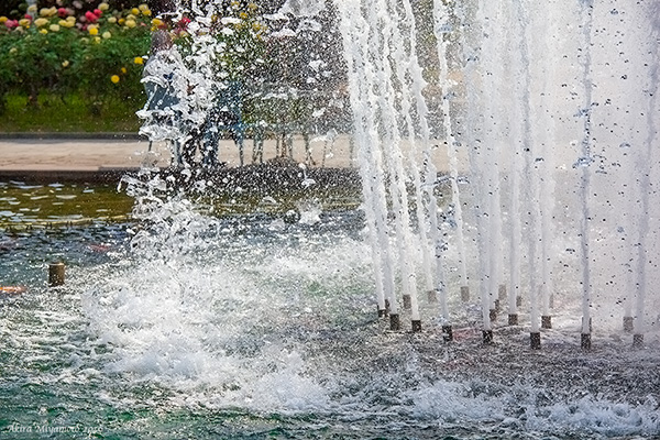 photo by AKIRA MIYAMOTO