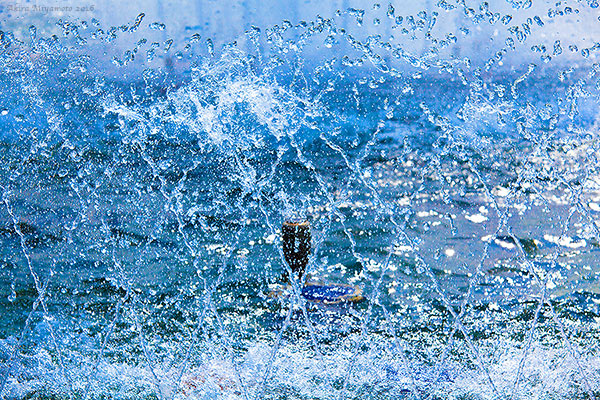 photo by AKIRA MIYAMOTO