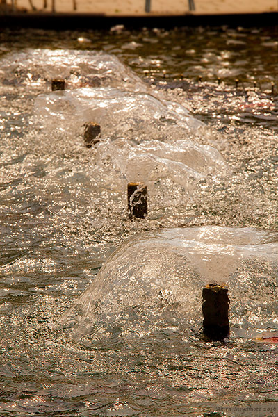 photo by AKIRA MIYAMOTO