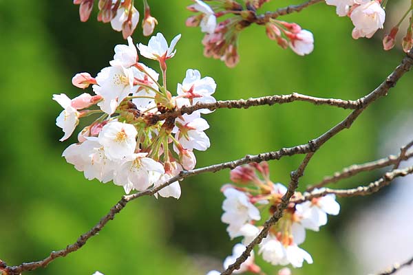 仕事をする上で最も大切なことは金銭決済に関すること