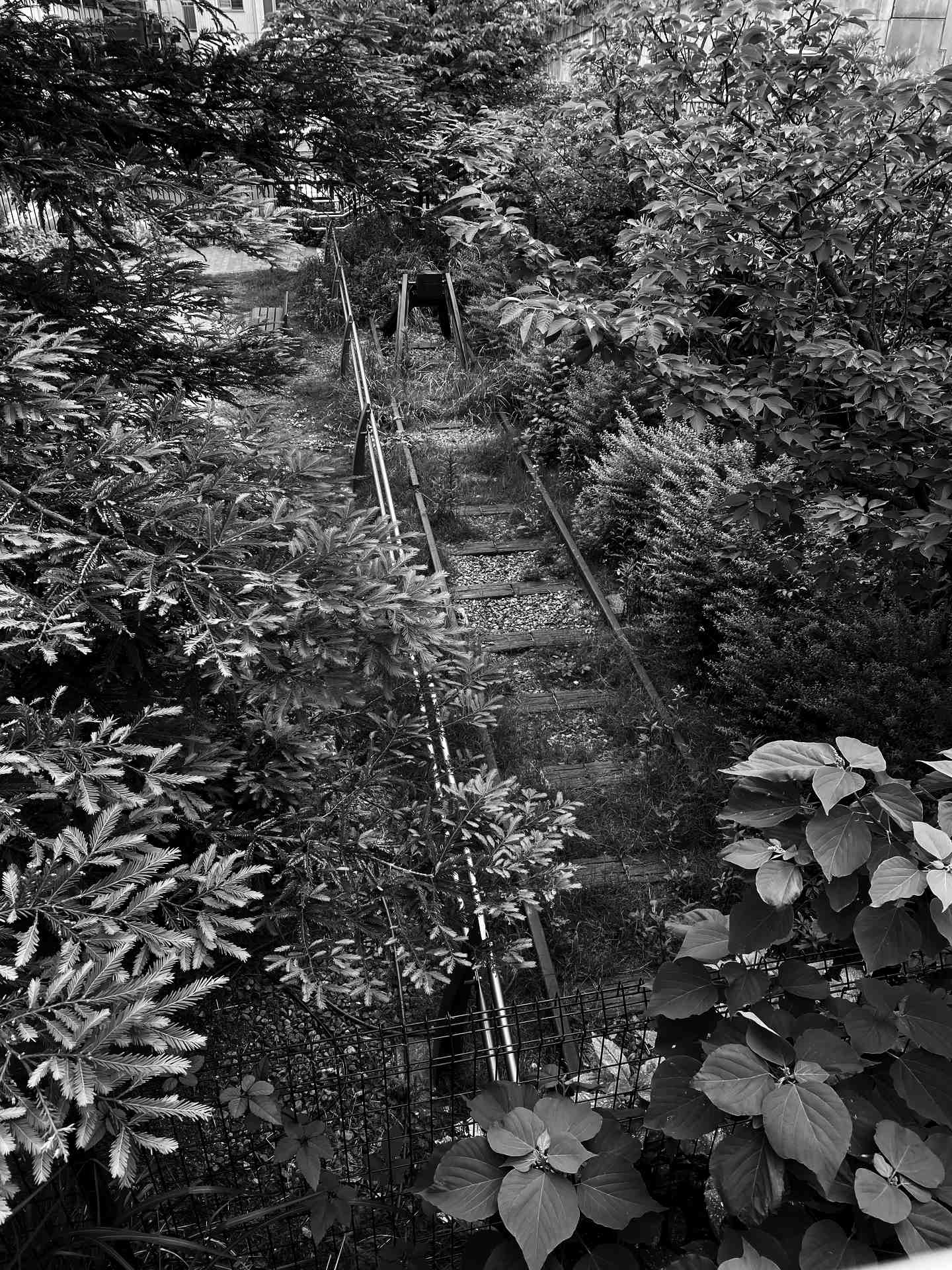 廃線後を訪ねる photo 宮本章光