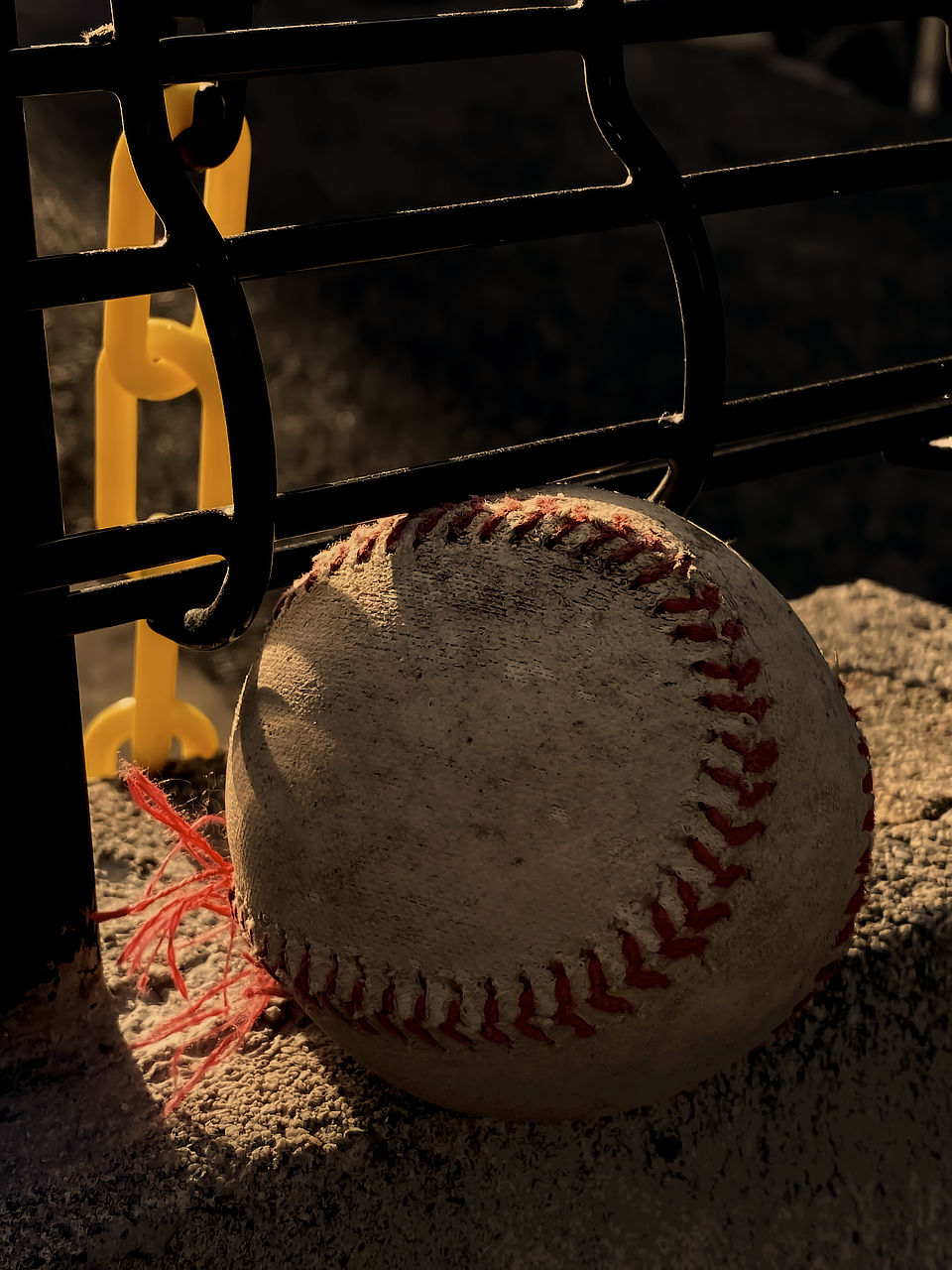 放置されたボールに宿る命 photo 宮本章光