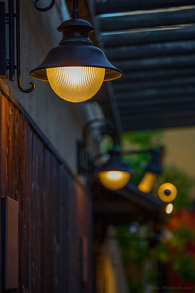 Akira Miyamoto's Photo