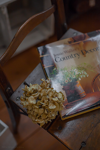 Photographer Akira Miyamoto's Photo