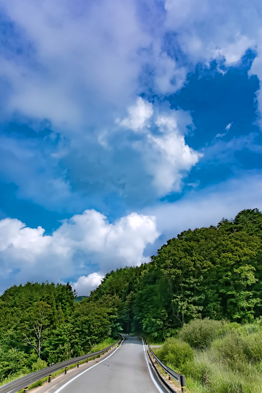 飯舘村で出会う夏の空に続く道 photo 宮本章光