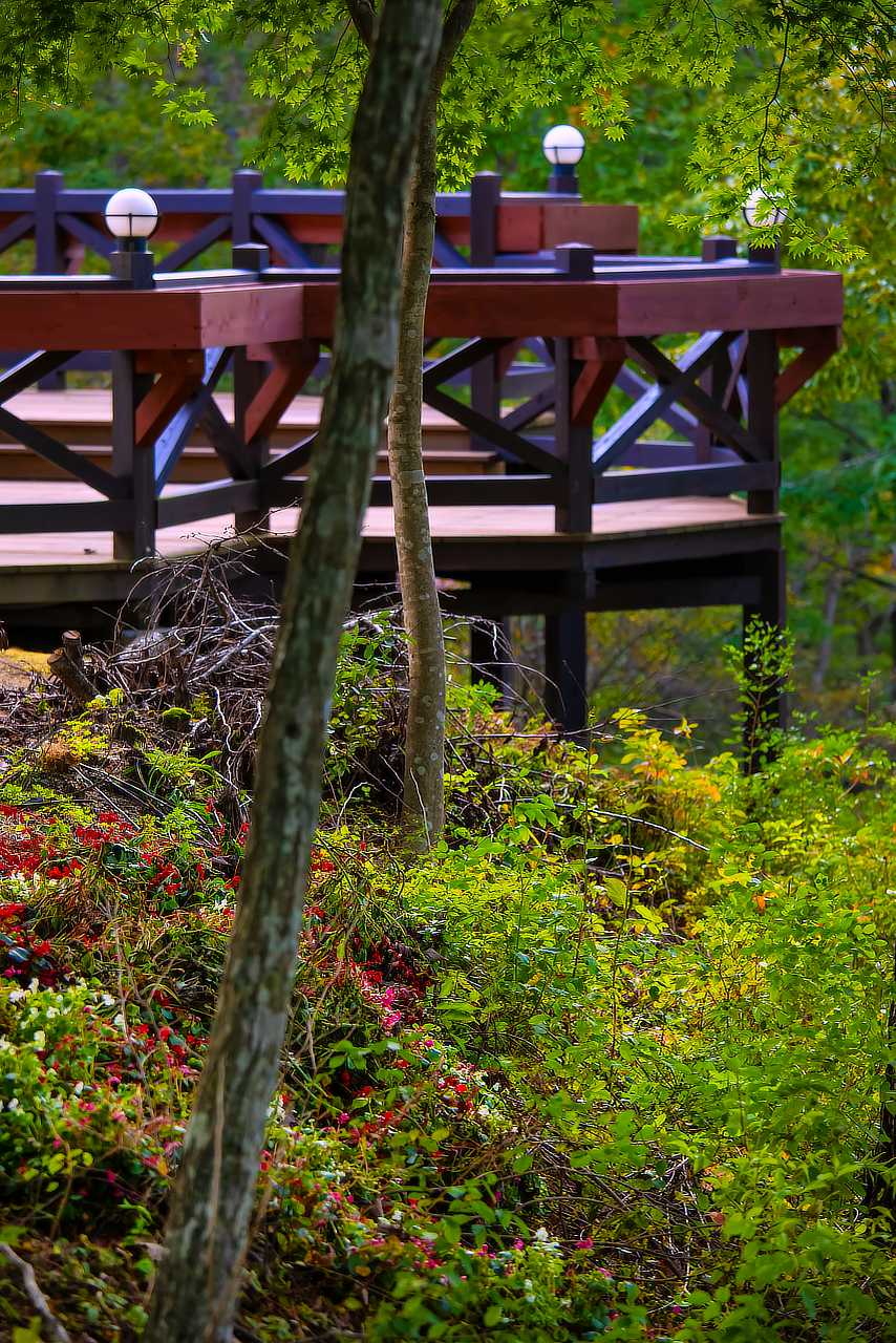 飯舘村きこりの印象 photo 宮本章光