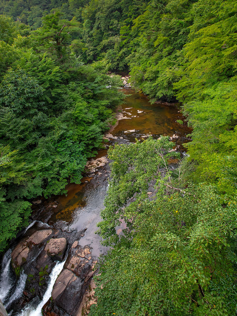 飯舘村はやま湖に向かう流れ photo 宮本章光