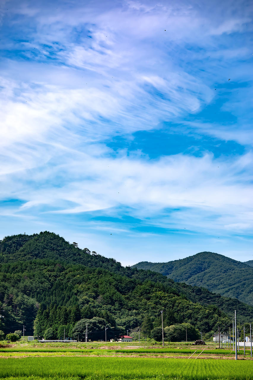飯舘村の印象 photo 宮本章光