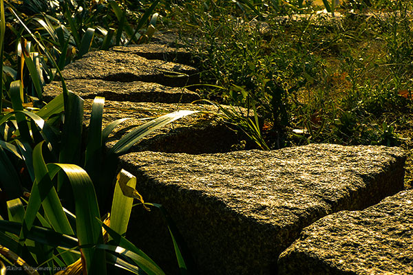 photo by AKIRA MIYAMOTO