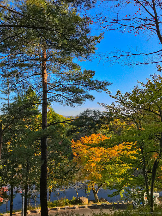 飯舘村の自然-あいの沢 photo by 宮本章光