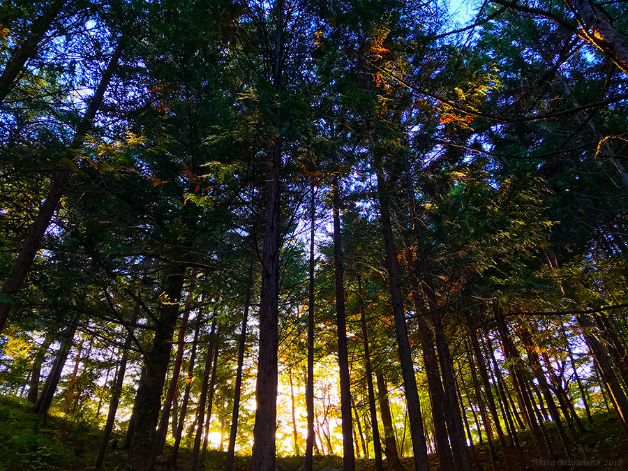 飯舘村の自然photo 宮本章光