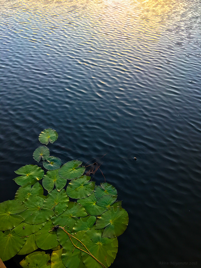 飯舘村あいの沢：あいの浮橋より