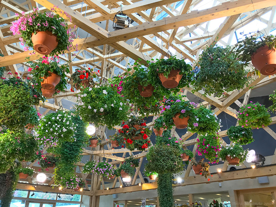 飯舘村2018を見る5 photo 宮本章光