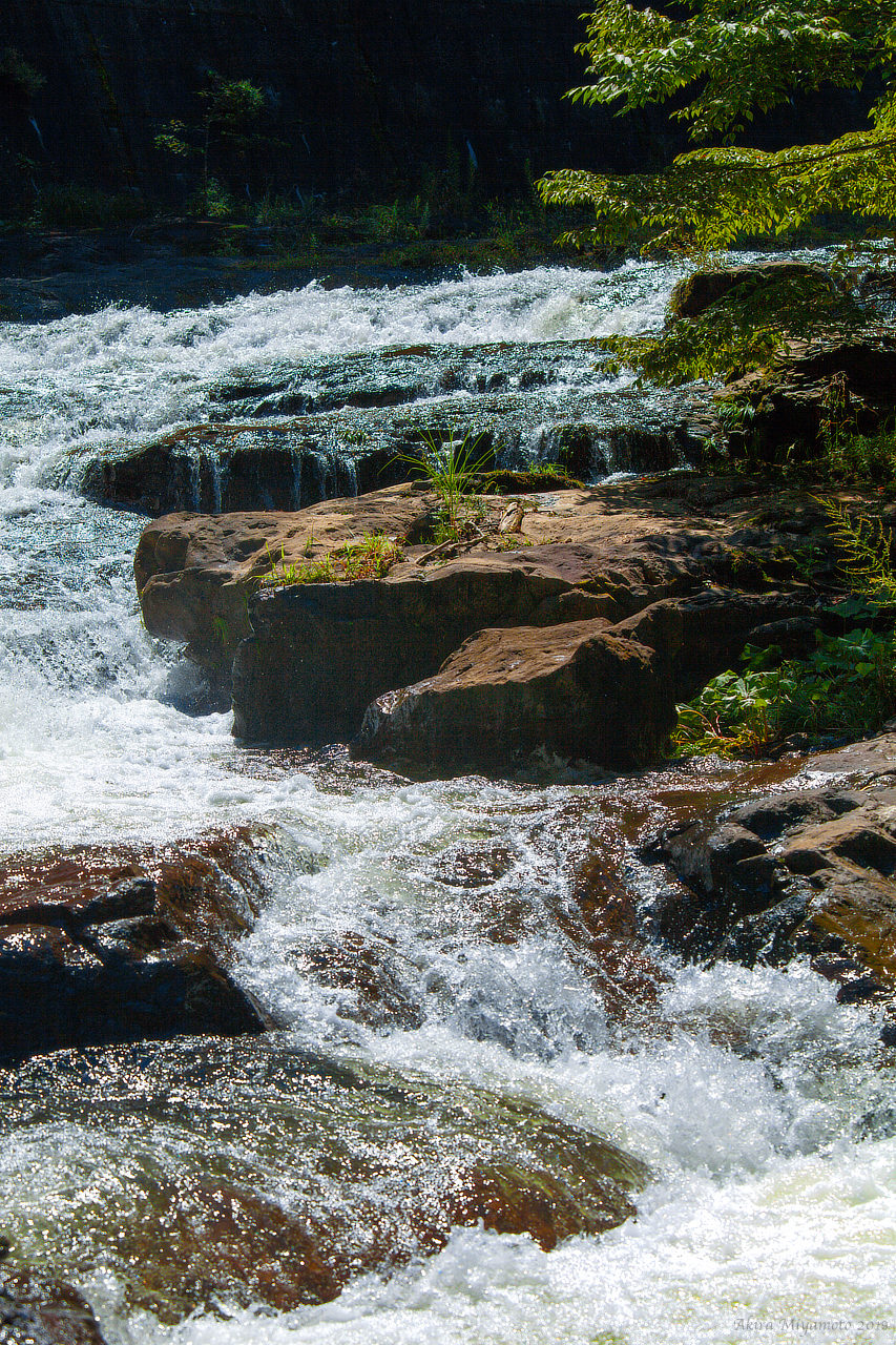 飯舘村 真野川渓谷 photo AKIRA MIYAMOTO
