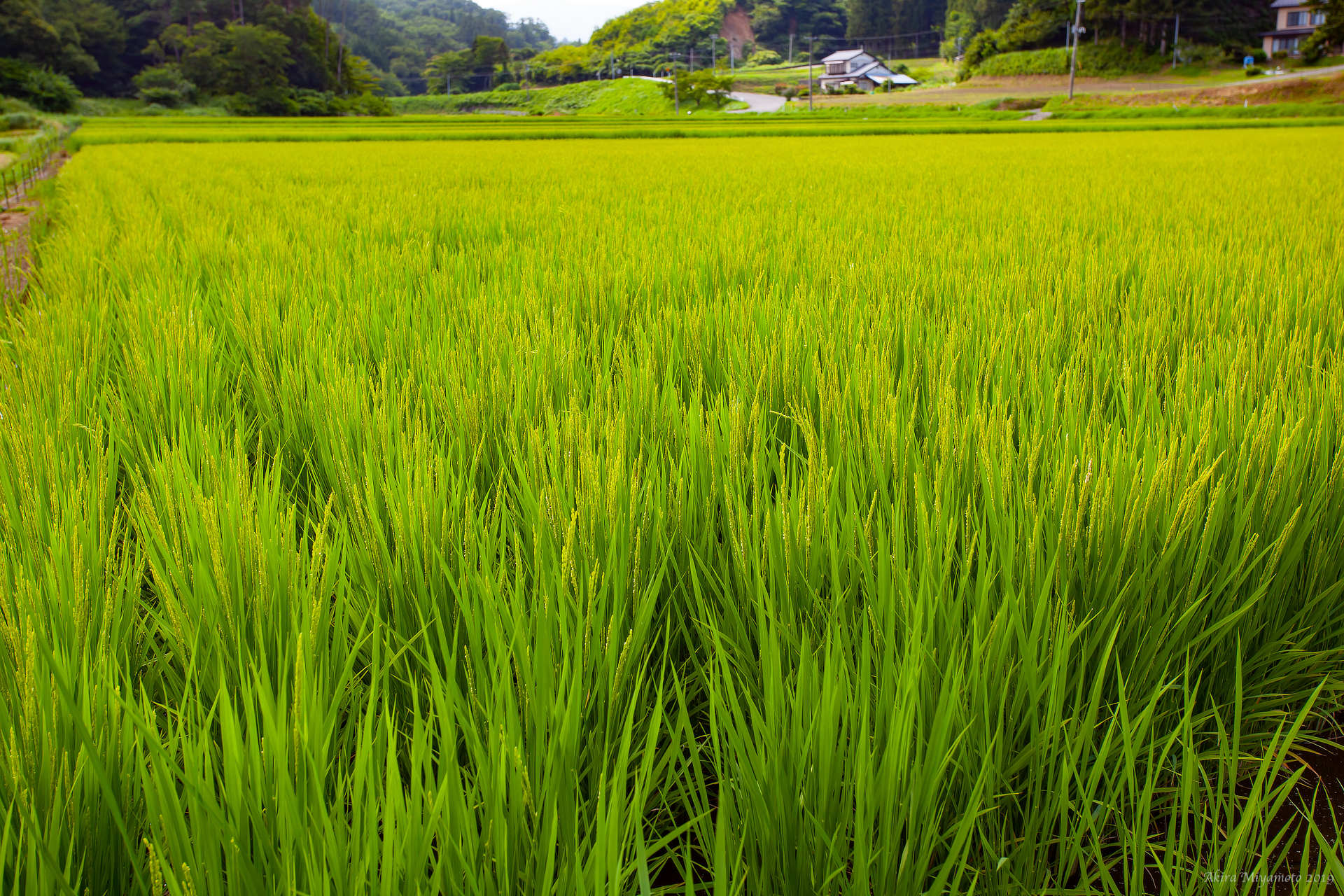 IitateVillage photo AKIRA MIYAMOTO